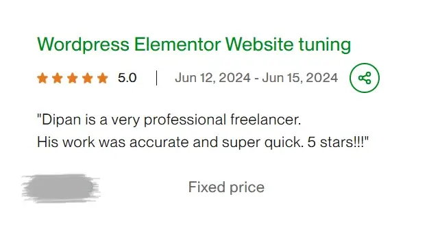 WordPress Elementor Website tuning